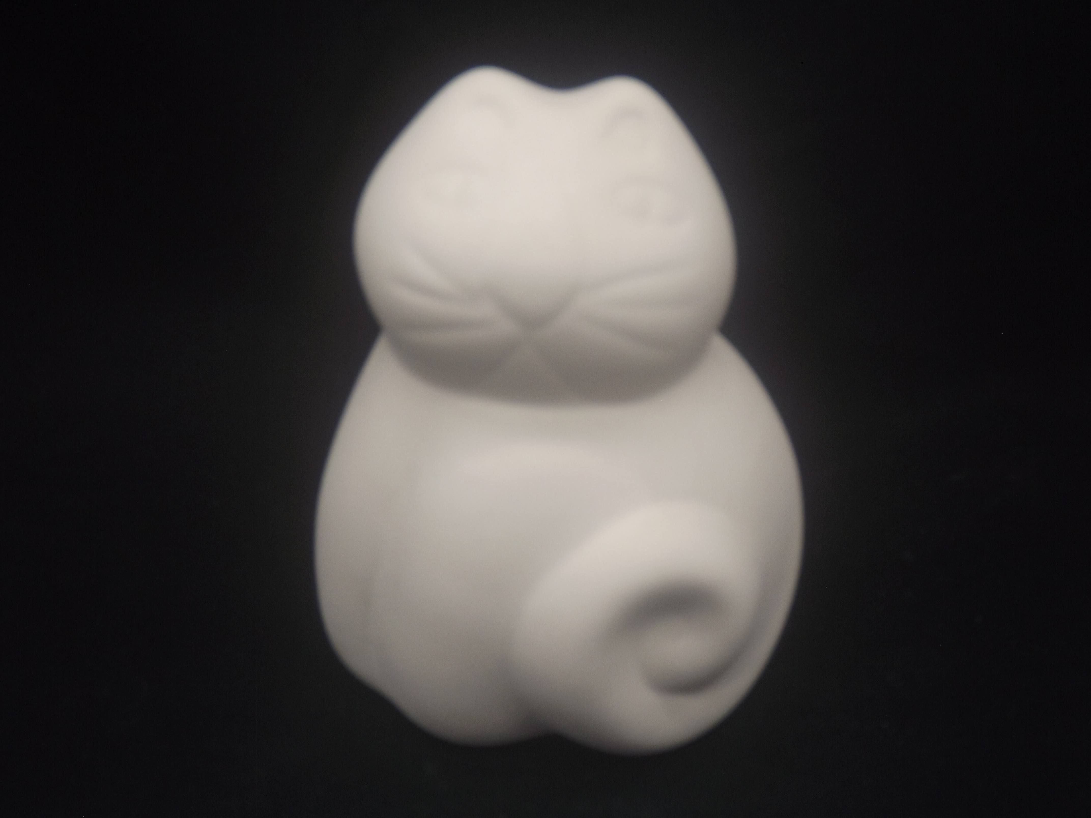 Gato Espiral P